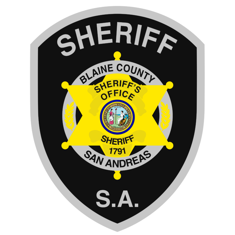 BCSO LOGO.png