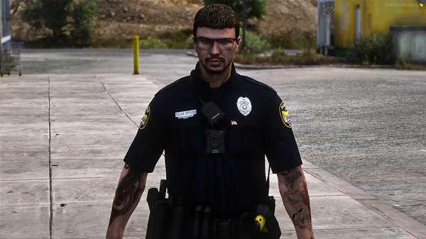 LSPD3.png