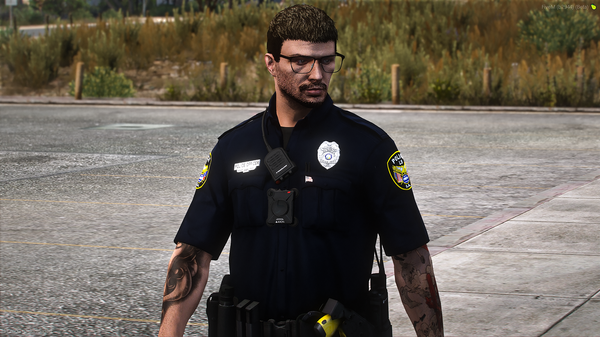 LSPD4.png